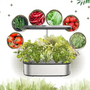 12 Plants Pods Hydroponic Garden