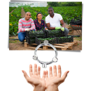 Three-head Garden Watering Nozzle