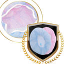 2-Pack Electric Fan Cover Filters