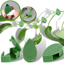Pack of 20 Leaf-Shaped Adhesive Clips for Climbing Plants