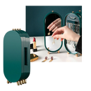 Jewellery Display Case