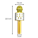 Wireless Bluetooth Karaoke Microphone