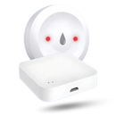 LeakLock Wireless Sensor