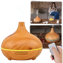 Essential Oil Diffuser and Humidifier