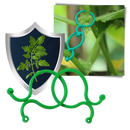 Pack of Garden Plant Holder Clips