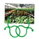Pack of Garden Plant Holder Clips