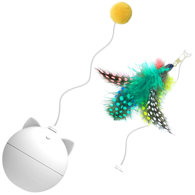 Cat Toy Ball With Auto-Roll Feature