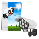 Solar Motion Sensor LED Lamp