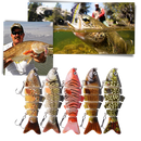Set of Artificial Wobbler Fishing Lures