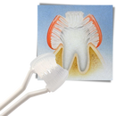 Three-sided Toothbrush For Adults and Kids