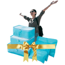 Set of 6 Small Travel Bags for Suitcase