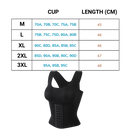 Multifunctional Women's Girdle and Bra