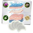 5 x Anti-Sweat Herbal Lymph Patches