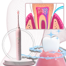 Adult Sonic Electric Toothbrush