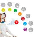 Anti bark dog collar