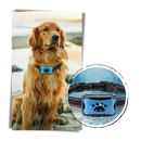 Anti bark dog collar