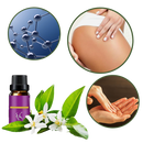 Buttock Enhancement Oil