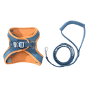 Pet Harness and Leash Set