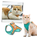 Pet Harness and Leash Set