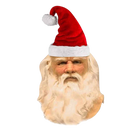Cosplay Santa Mask