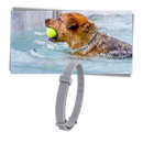 Anti-Flea Collar for Pets