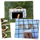 Foldable Picnic Blanket