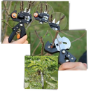 Garden Pruner & Grafting Tool