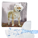 Hooded Raincoat for Dogs