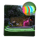 Neon LED Wire Colorful