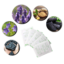 Natural Detox foot pads