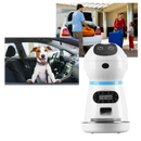 Automatic Pet Food Dispenser