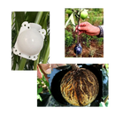 Pack of 3 Air Layering Plant Boxes