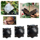 Pack of 3 Air Layering Plant Boxes