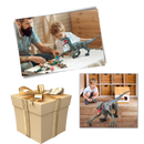 Remote Control Dinosaur Toy