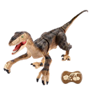 Remote Control Dinosaur Toy