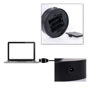 Delightful Rose Tree Lamp