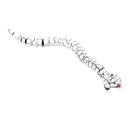 Remote control interactive snake toy for cat