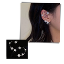 Pair of Zirconia Clip-on Fashion Earrings