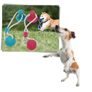 Suction Cup Dog Pull Ball Toy