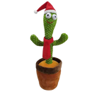 Talking Cactus Parrot