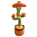 Talking Cactus Parrot