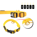 LED light pet collar