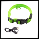 LED light pet collar
