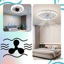 Aesthetic Ceiling Fan With Light And Remote