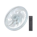 Aesthetic Ceiling Fan With Light And Remote