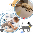 Anxiety Relief For Pets