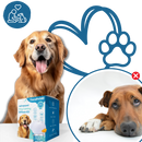 Anxiety Relief For Pets