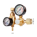 Argon Guard Regulator