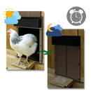Automatic Chicken Coop Door