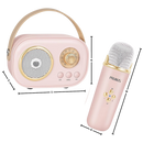 Bluetooth Dual Mic Kids Mini Karaoke